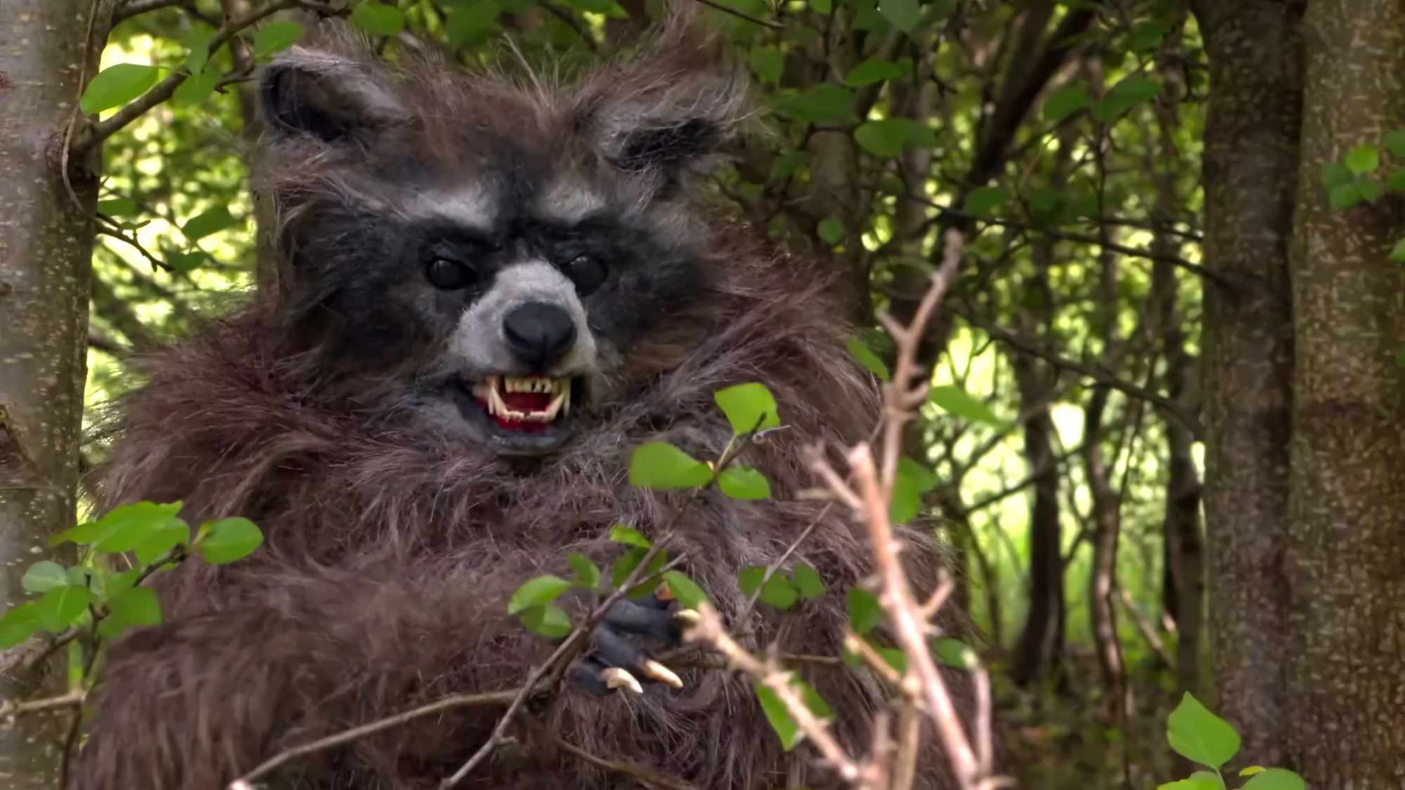 Crackcoon Backdrop